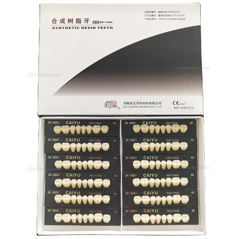 Caiyu Heiying Acrylic Synthetic Polymer Resin Denture (Upper/Lower Back Teeth)